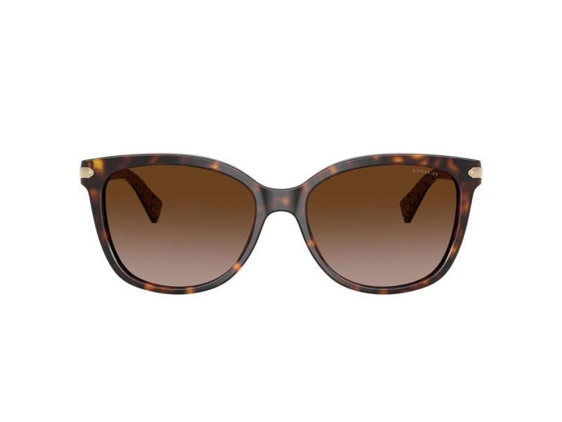 Coach L109 Solbriller 8132 529113