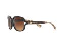 Coach L149 Solbriller 8169 535313
