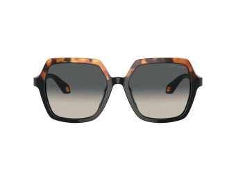 Giorgio Armani Solbriller 8193U 587519