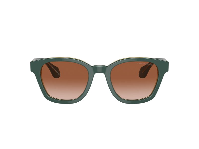 Giorgio Armani Solbriller 8207 608613