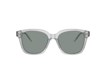 Giorgio Armani Solbriller 8210U 608056