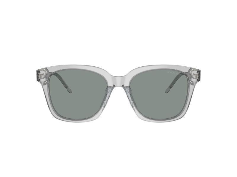 Giorgio Armani Solbriller 8210U 608056