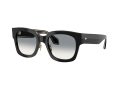 Giorgio Armani Solbriller 8223 500111