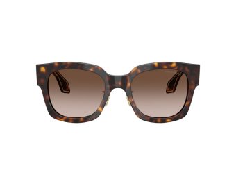 Giorgio Armani Solbriller 8223 502613