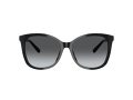 Coach L1101 Solbriller 8271U 5002T3