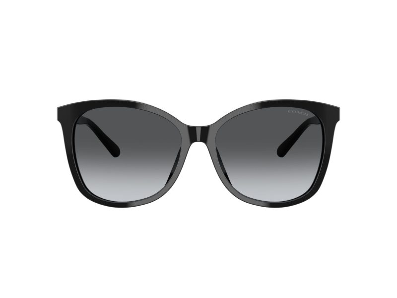 Coach L1101 Solbriller 8271U 5002T3