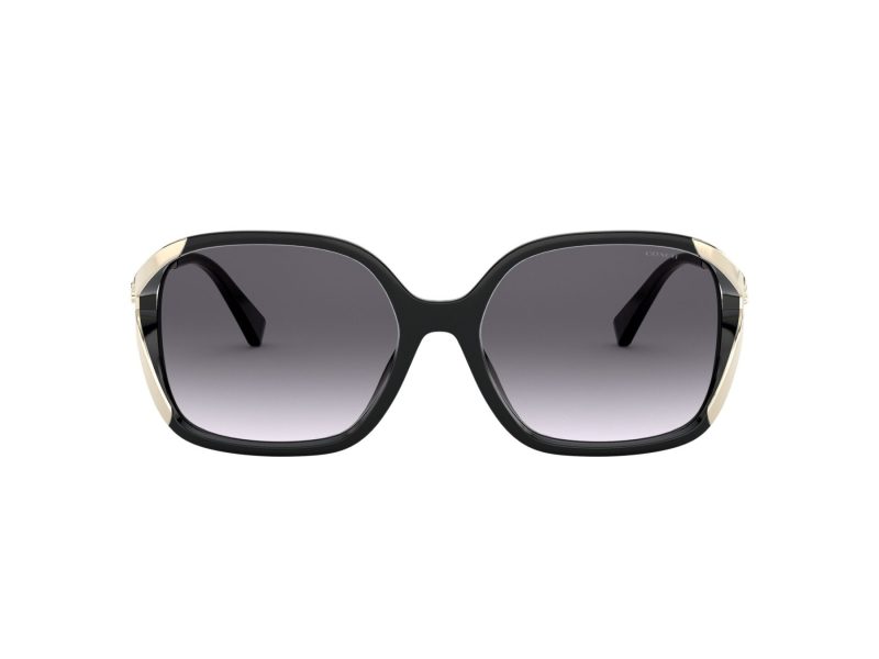 Coach L1116 Solbriller 8280U 50028G