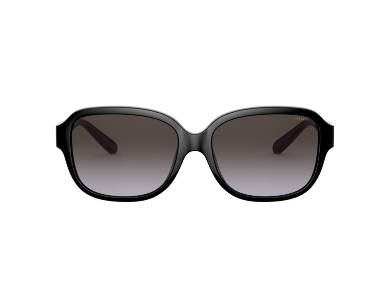 Coach L1153 Solbriller 8298U 50028G