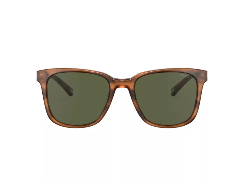 Coach C2095 Solbriller 8313U 558171