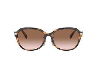 Coach C6199 Solbriller 8332D 512013