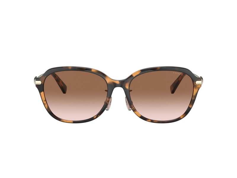 Coach C6199 Solbriller 8332D 512013