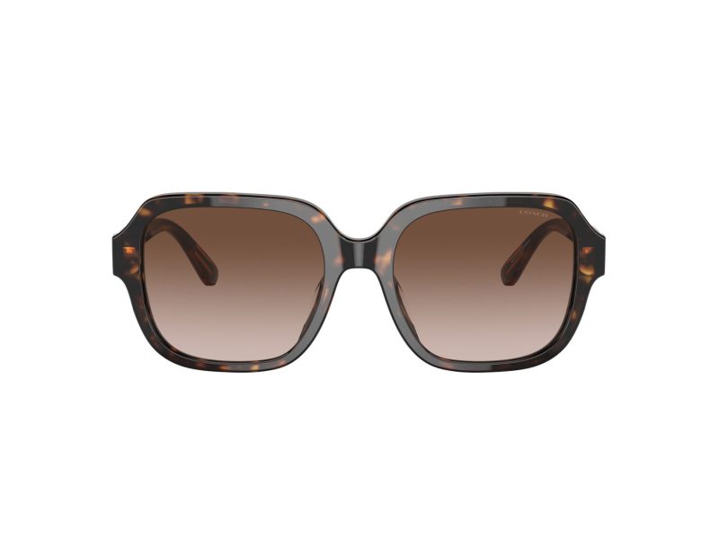 Coach C7989 Solbriller 8335U 512013