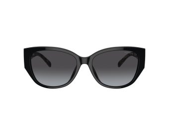 Coach Ch563 Solbriller 8362U 50028G