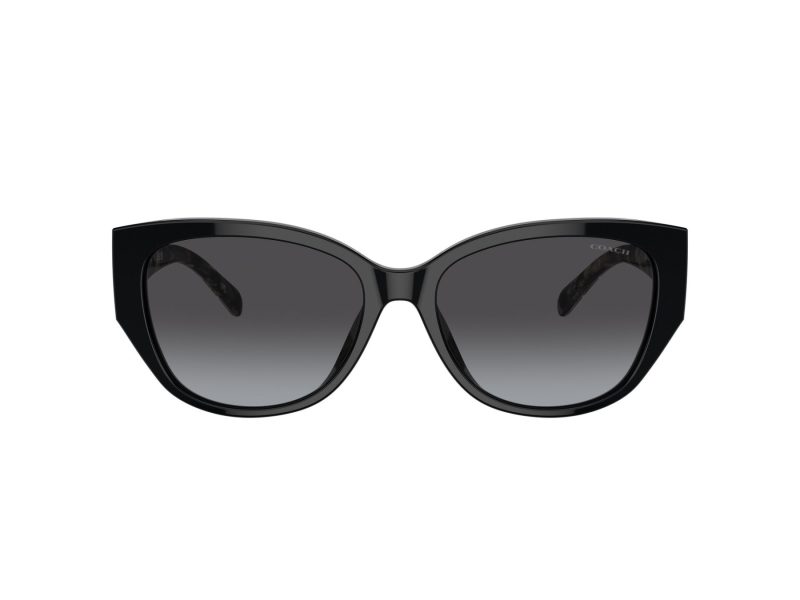 Coach Ch563 Solbriller 8362U 50028G