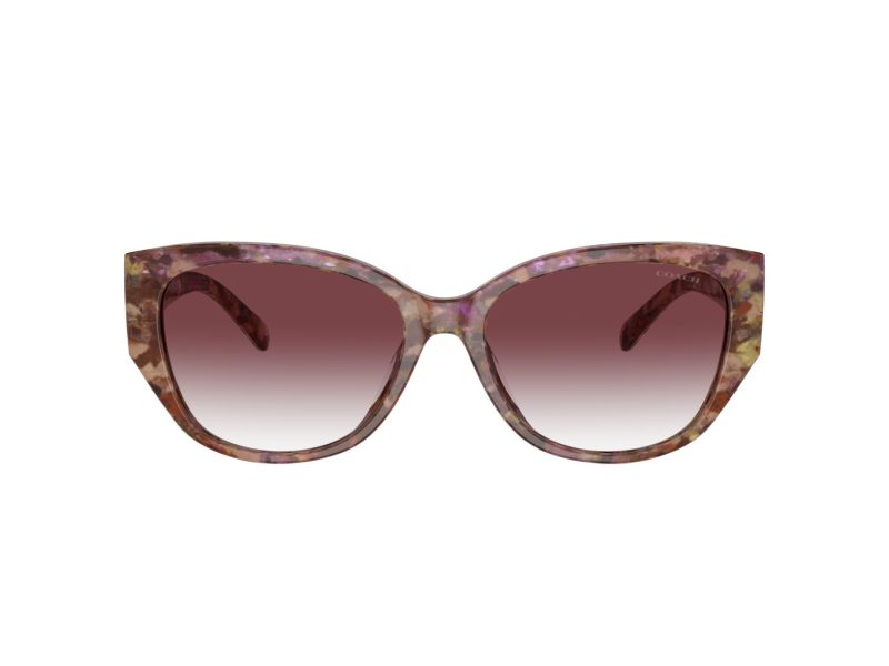 Coach Ch563 Solbriller 8362U 57398H