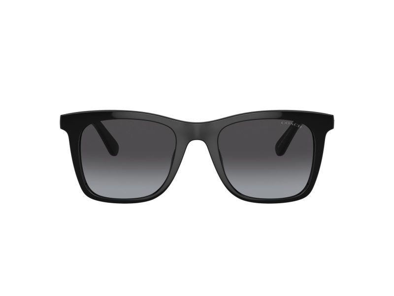 Coach Ch561 Solbriller 8374U 50028G