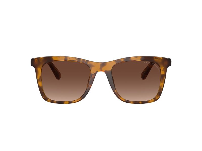 Coach Ch561 Solbriller 8374U 5120T5