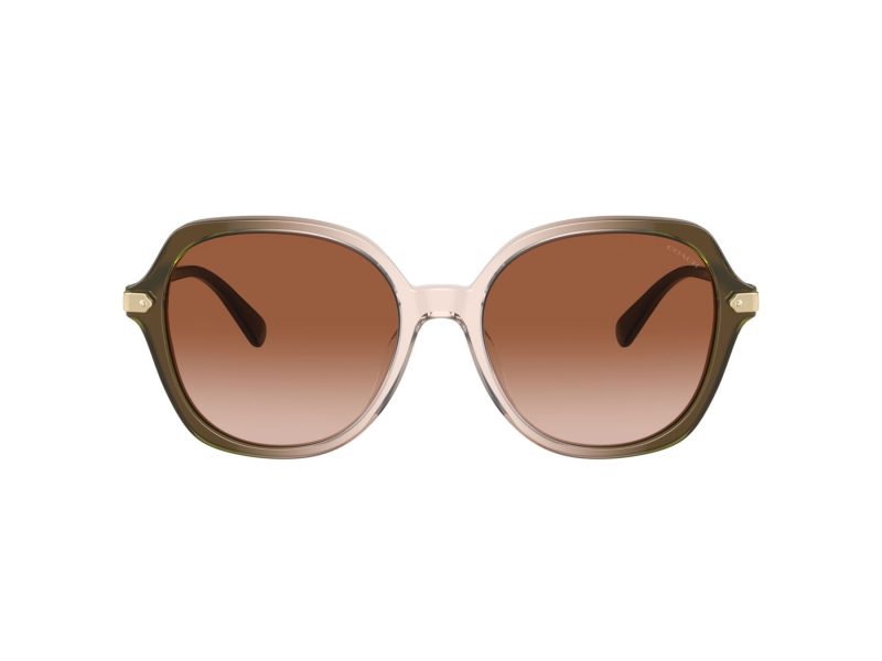 Coach Cl925 Solbriller 8377U 540013