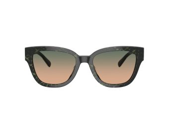 Coach Cl920 Solbriller 8379U 578413