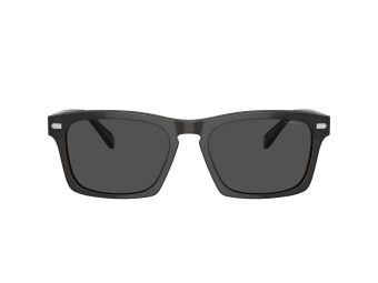 Coach Cr628 Solbriller 8397U 581787