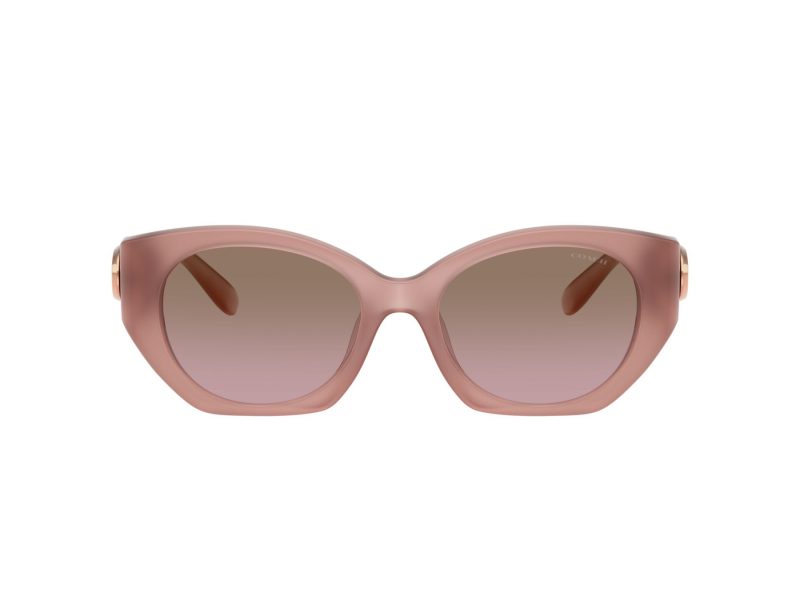 Coach Cw194 Solbriller 8407U 583914