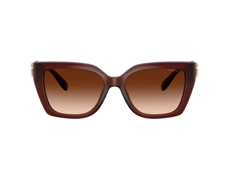 Coach Cw195 Solbriller 8408U 584174