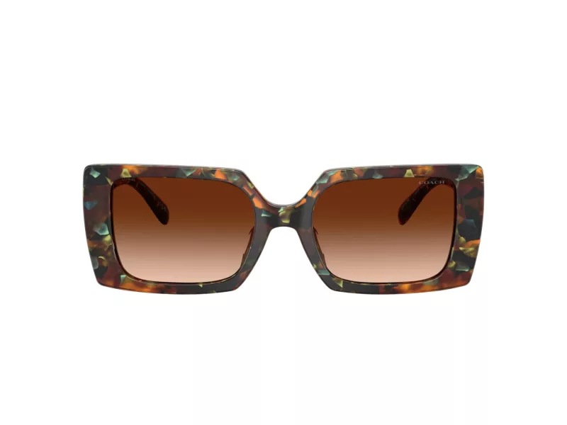 Coach Cw224 Solbriller 8409U 584474