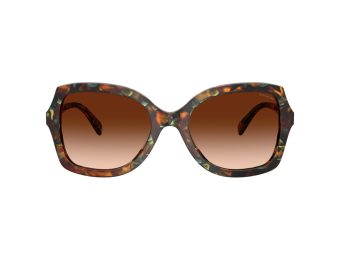 Coach Cw225 Solbriller 8410U 584474