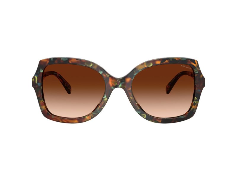 Coach Cw225 Solbriller 8410U 584474