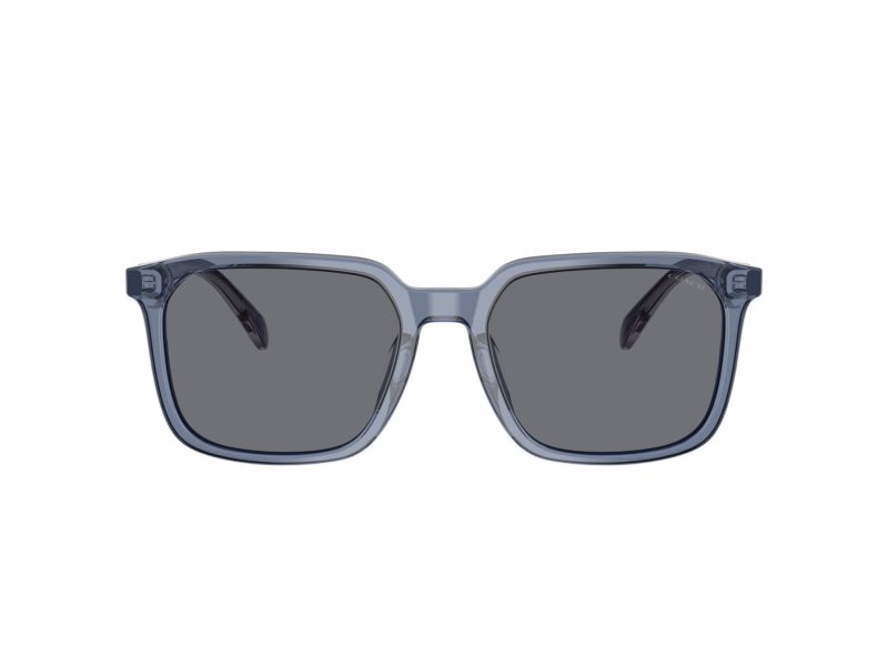 Coach Cw405 Solbriller 8411U 582087