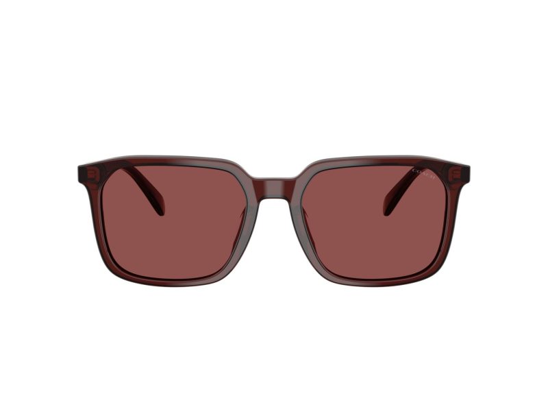 Coach Cw405 Solbriller 8411U 585075