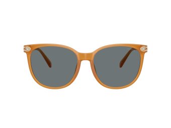 Coach Cw428 Solbriller 8414BD 585580