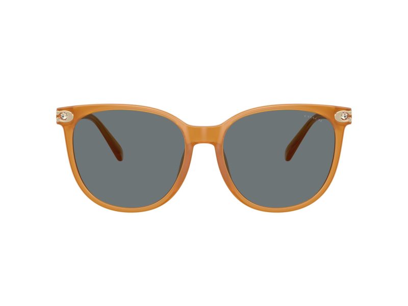 Coach Cw428 Solbriller 8414BD 585580