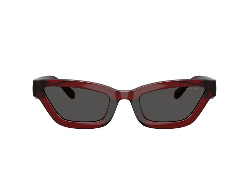 Coach Cad28 Solbriller 8420U 587487