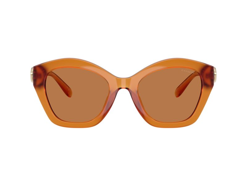 Coach Cad31 Solbriller 8421U 564773