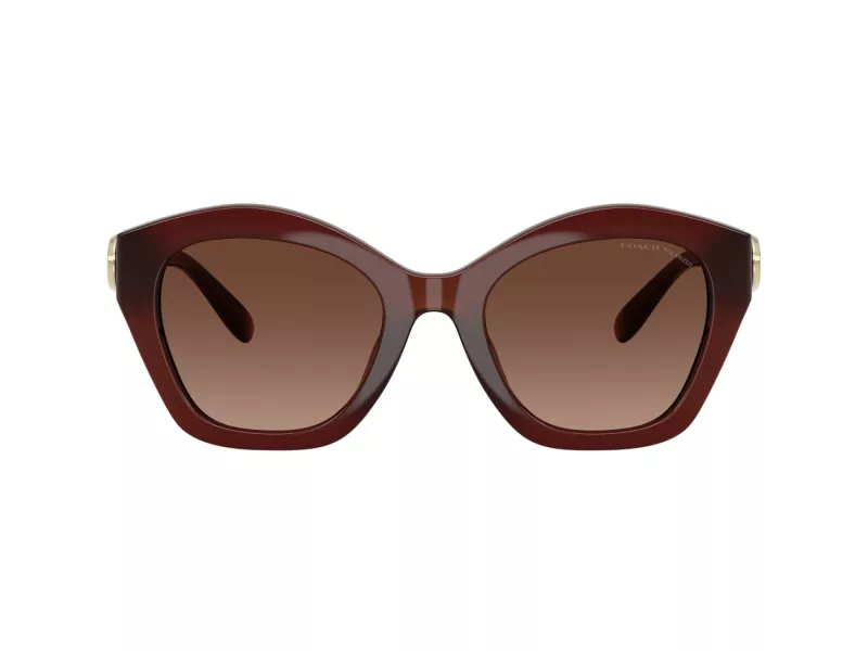 Coach Cad31 Solbriller 8421U 5841T5