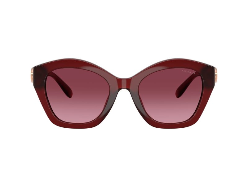Coach Cad31 Solbriller 8421U 58708H