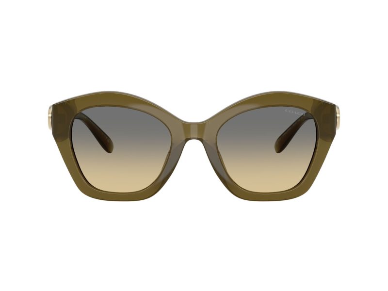 Coach Cad31 Solbriller 8421U 5872L0