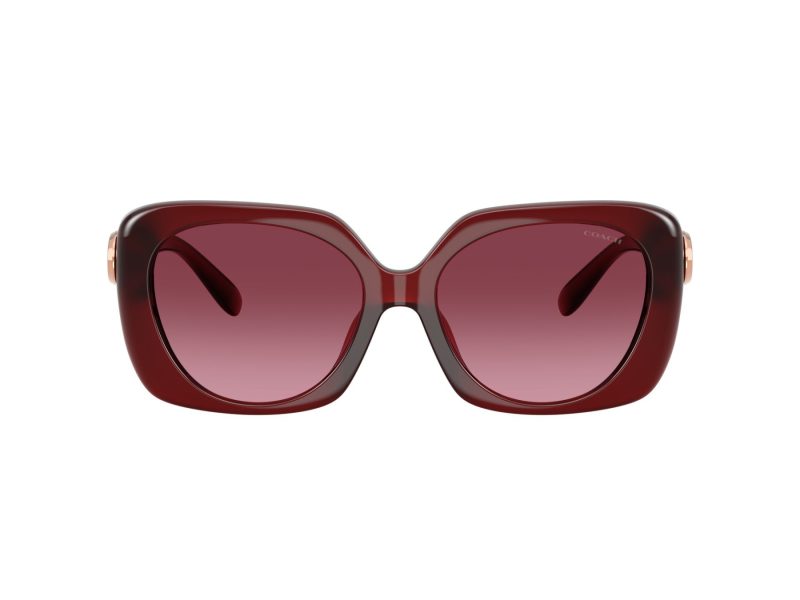 Coach Cad33 Solbriller 8422U 58708H