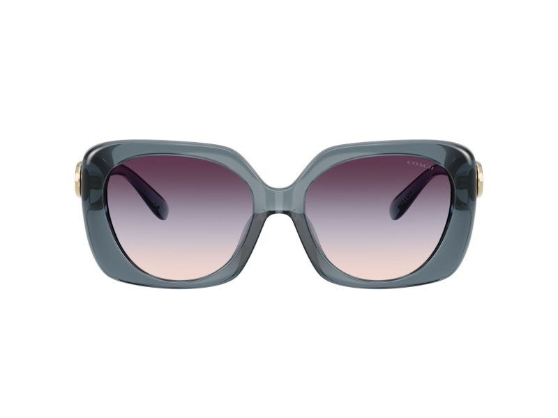 Coach Cad33 Solbriller 8422U 5871U7
