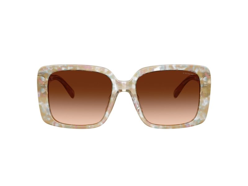 Coach Cad54 Solbriller 8424U 586874