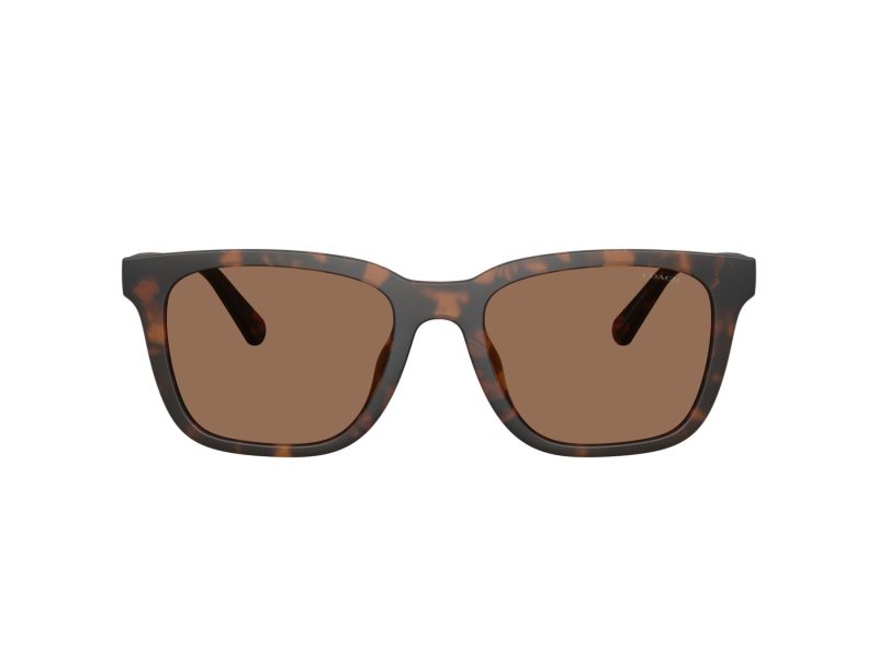 Coach Cad81 Solbriller 8426U 512073