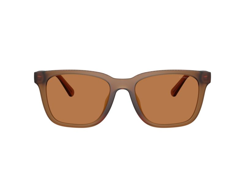 Coach Cad81 Solbriller 8426U 587673