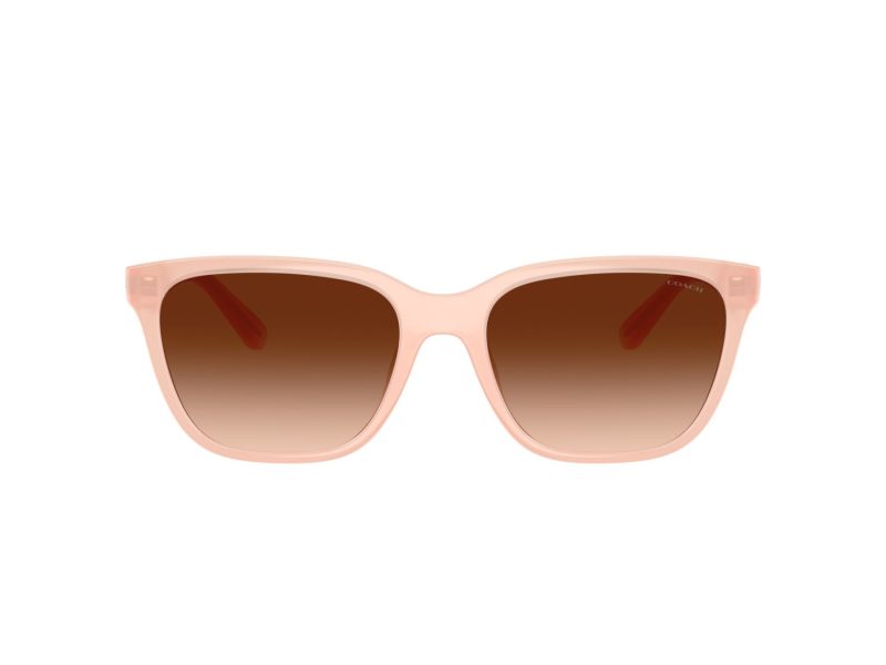 Coach Cae86 Solbriller 8429D 511374